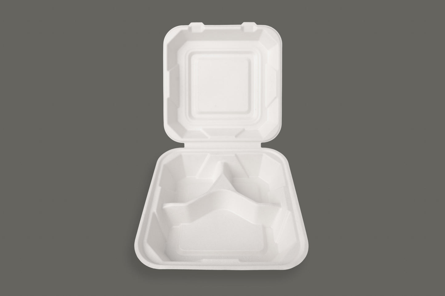 Bagasse Clamshell Container 8"x8"x3" from EcoPaack