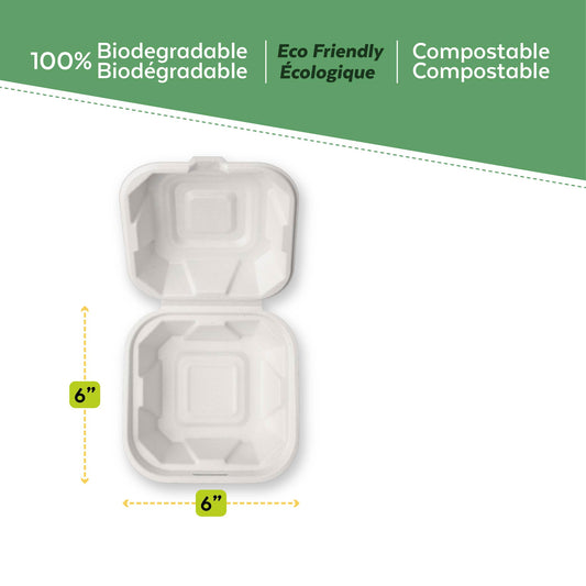 Bagasse Clamshell Container 6"x6"x3" with measurements from EcoPaack